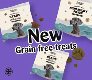 grain-free treats