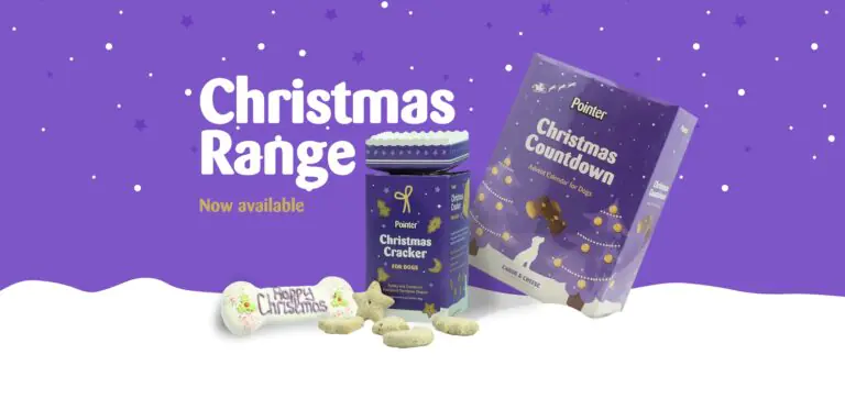 christmas treats for dogs banner