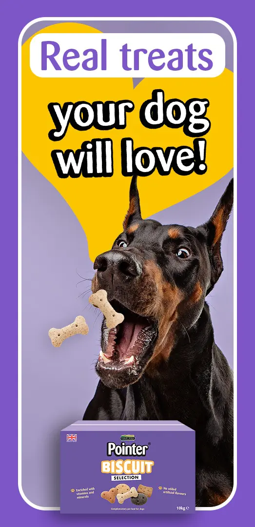 your dog will love Biscuit selection