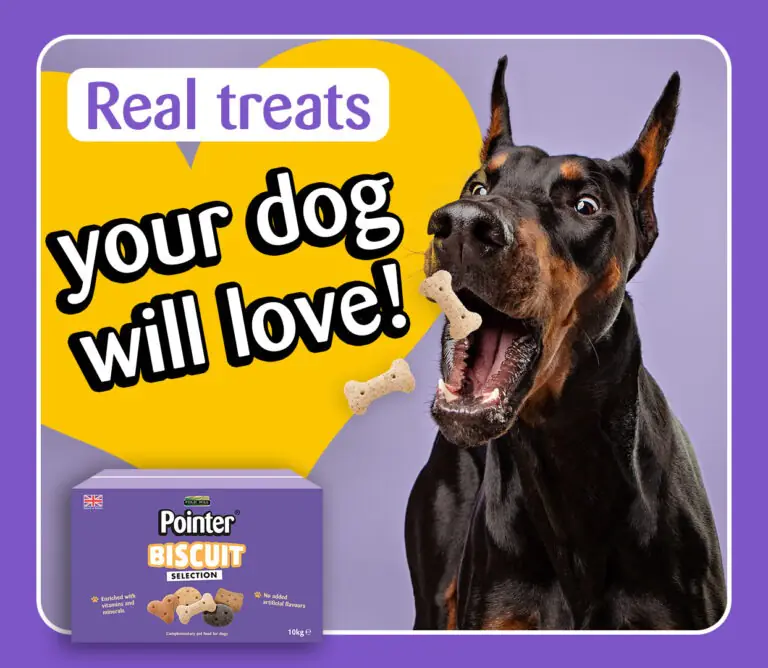 your dog will love Biscuit selection