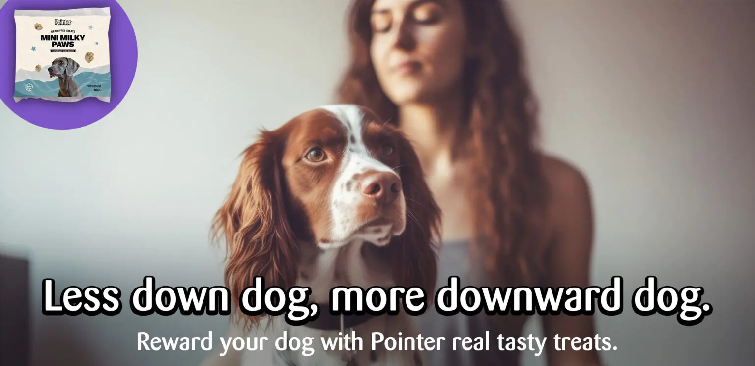 Downward dog Pointer