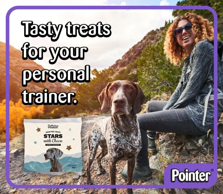 Pointer personal trainer - tablet