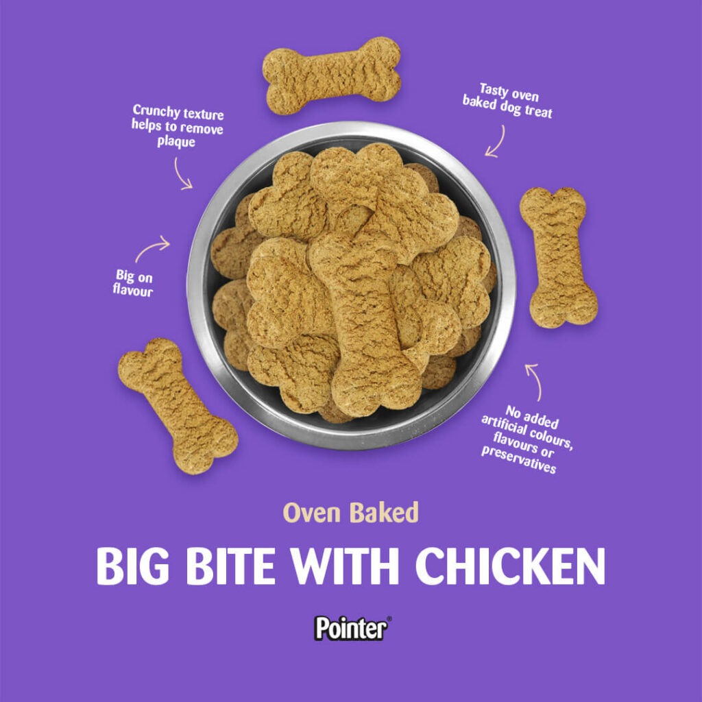 Big Bite Biscuits With Chicken | 12.5kg | Pointer Pet Foods