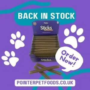 Pointer sticks