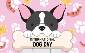 Top tips for spoiling your dog on International Dog Day