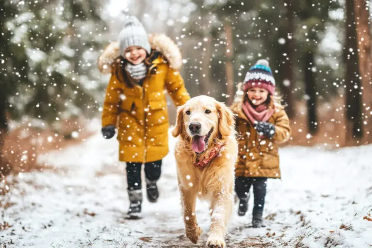 How to exercise your dog in cold weather