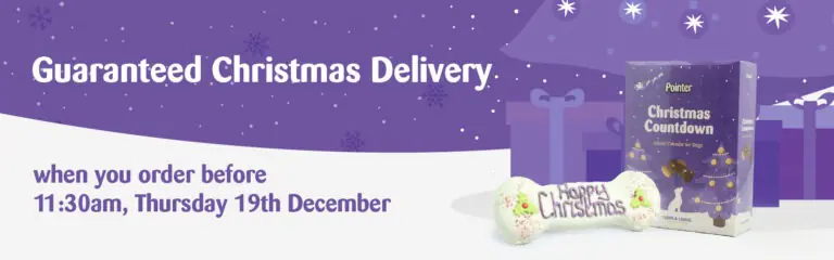 Guaranteed Christmas Delivery banner