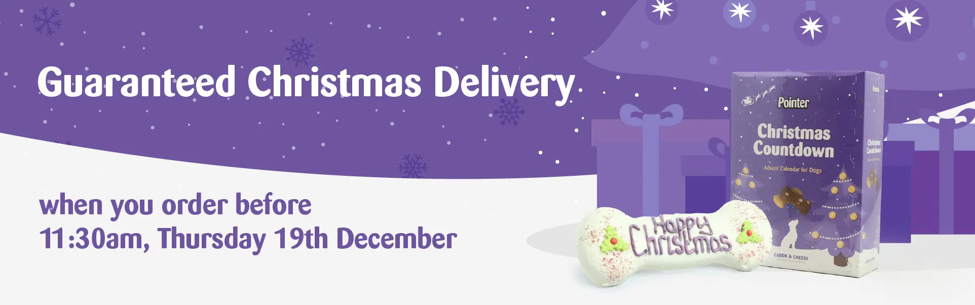 Guaranteed Christmas Delivery banner