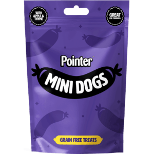 Pointer mini dogs