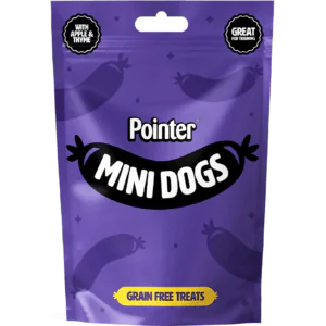 Pointer mini dogs