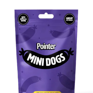 Pointer mini dogs